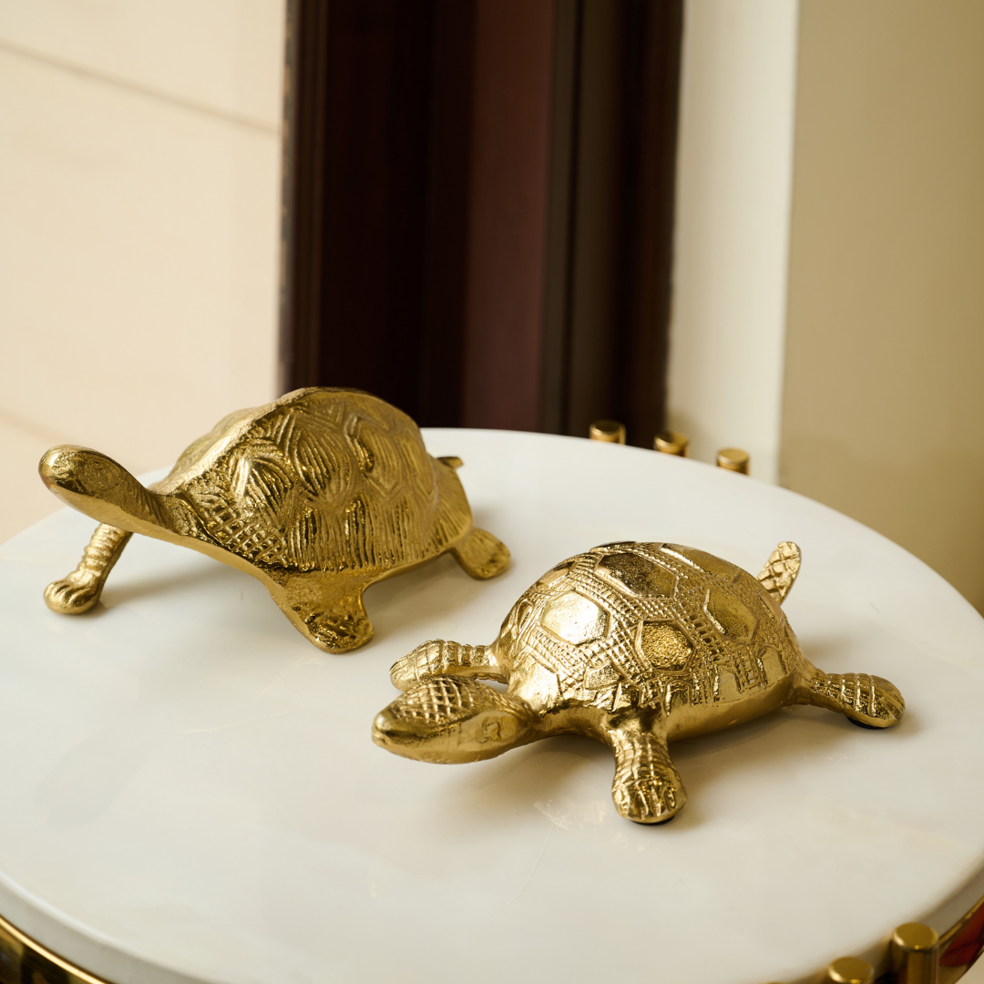 Turtle Set of two