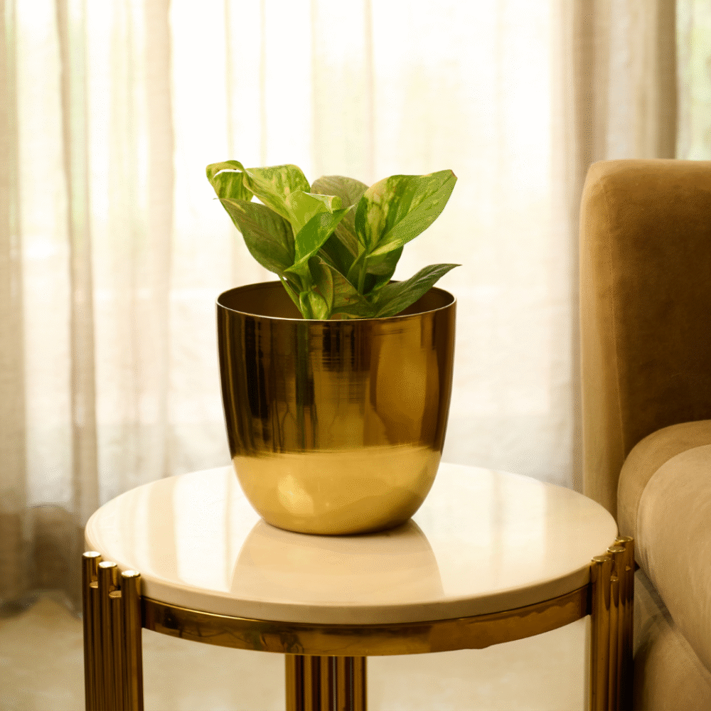 Planter