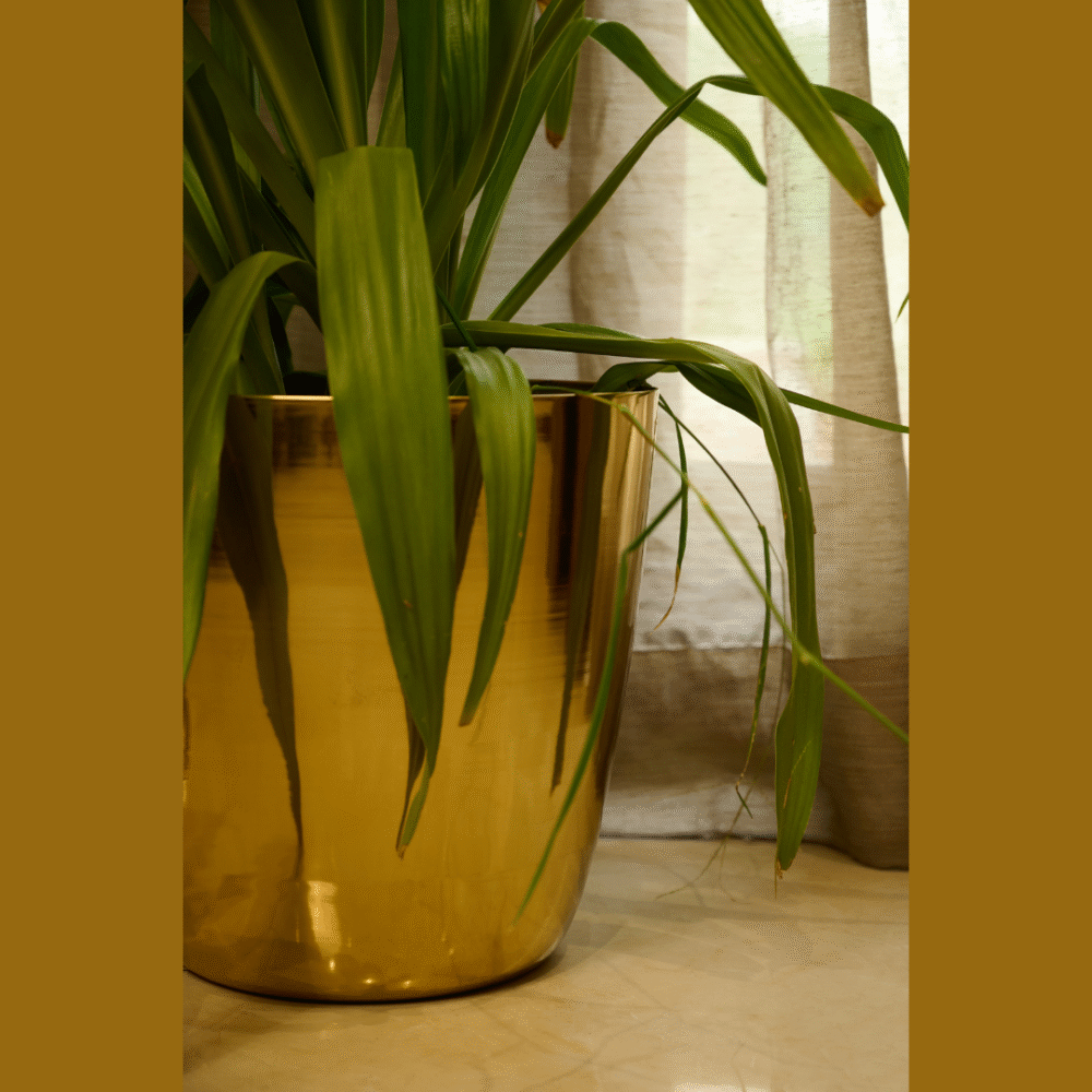 Planter - Image 3