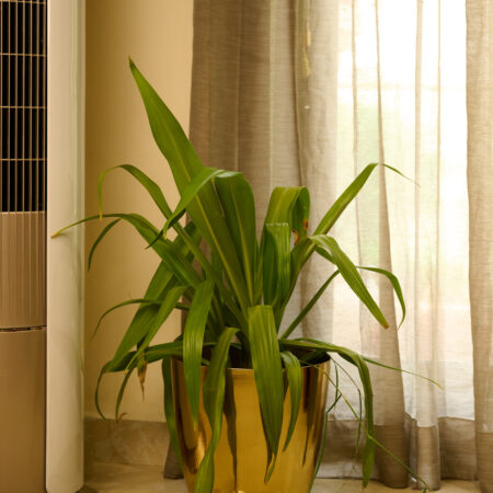 Planter
